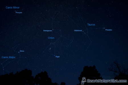 Orion-Taurus_diagram