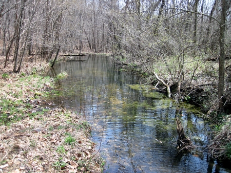 chilton-creek-old-channel